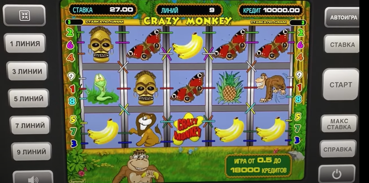 Нестареющий Crazy Monkey от Igrosoft для вашего незабываемого досуга!